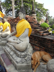 Dog sleeping with Buddha